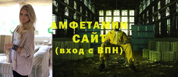 молекула духа Алексин