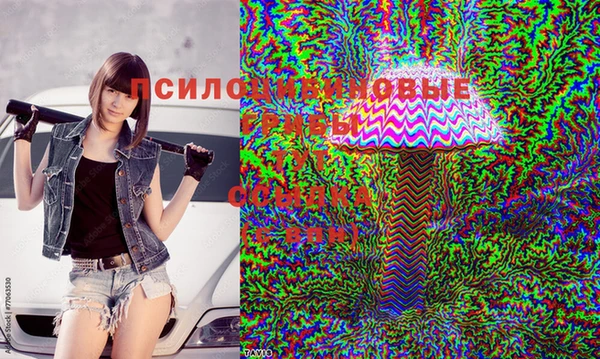 СК Алексеевка
